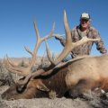 Colorado Elk Deer GMU 12 and 231