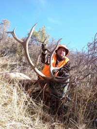 Colorado Elk, Mule Deer, DIY Hunt on private ranch in GMU 42