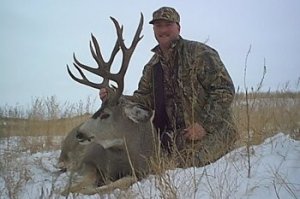Idaho Elk, Deer, Moose, Bear Hunts in the Bitterroot Moutains,