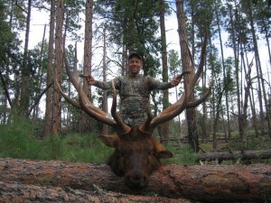 Colorado Elk, Mule Deer DIY Hunts GMU 421