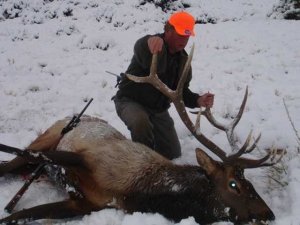 Wyoming Antelope, Mule Deer, Whitetail Deer, Hunts Region C, Area 22, 23