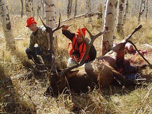 Colorado Elk Hunt GMU 80, 81 DIY Hunt