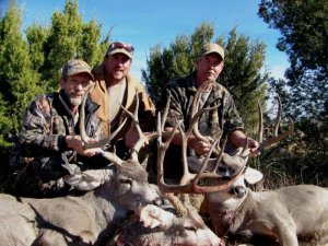 Wyoming Antelope, Deer, Turkey Area 4 &amp; 5