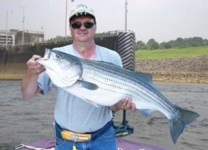 Stripers and ‘Moore’ Fishing Guide Service