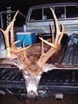 Missouri Ozarks Whitetail Deer Hunts