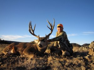 New Mexico Trophy Mule Deer Hunts