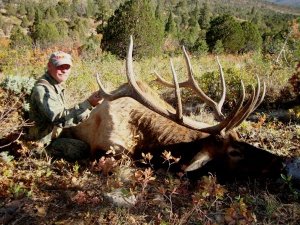 Colorado Drop Camp Hunts Elk