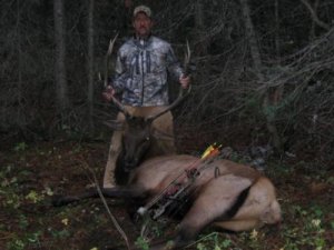 Colorado Elk Hunt GMU 71