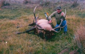 Colorado Drop Camp Elk, Mule Deer, Moose Hunts Unit 28