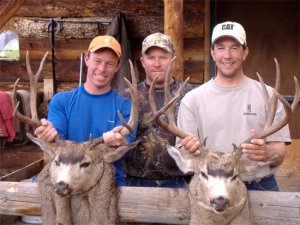 Colorado Elk Deer Bear Hunt GMU 63