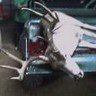 Texas DIY Mule Deer Hunt