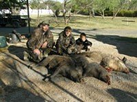 Texas Whitetail Deer, Hog, Turkey and Exotic Hunts