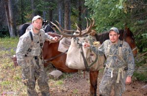 Colorado Elk Hunts GMU 24 5 Day Drop Camp