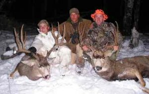 Colorado Deer and Mule Deer Hunts GMU 214