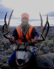 Colorado Elk, Mule Deer, Sheep, Hunts GMU 51