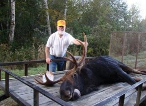 Maine Black Bear, Whitetail Deer, Moose, Turkey, Coyote, Small Game Hunts