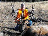 Colorado Elk Deer GMU 24
