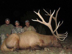 Arizona Gould&#039;s Turkey, Coues Deer, Mule Deer, Elk, Javelina Hunts
