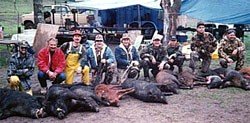 California Deer, Wild Hog, Turkey, Quail and Dove Hunting