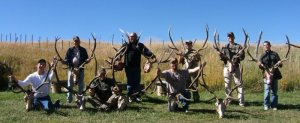 Colorado Elk, Mule Deer, Whitetail Deer, Antelope, Bear, Mountain Lion, Mountain Goat, Bighorn Sheep, Buffalo, Turkey and Varmints GMU 69-84