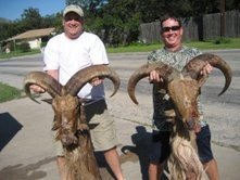 Free Ranging West Texas Trophy Mule Deer Hunts at a reduced rate