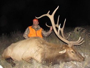 Colorado Elk Mule Deer Whitetail Deer Antelope Turkey and Predator Hunts GMU 87, 88, 89