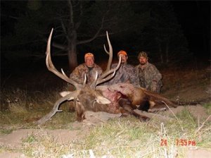 Colorado Mule Deer, Elk, Antelope Hunts in GMU 12,13, 59, 62, 64, 65, 70, 105, 106, 112, 113, 119, 120, 121, 411 and 581