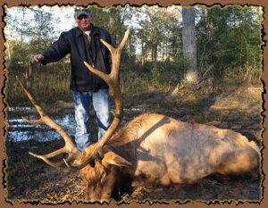 Texas Whitetail Deer, Mule Deer, Elk, Bison, Exotic Hunts near Sanderson