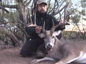 Texas Whitetail Deer, Turkey, Hog, Predator Hunts