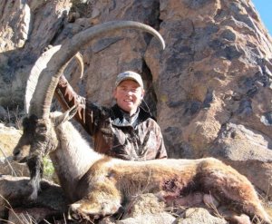 New Mexico Elk, Turkey, and Ibex Hunts Gila Area