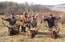 Colorado Elk, Mule Deer, Drop Camp Hunt in Flat Top Wilderness GMU 25