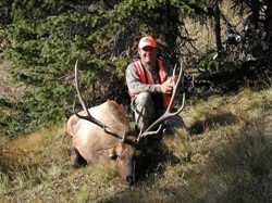 Colorado Elk Hunt GMU 214