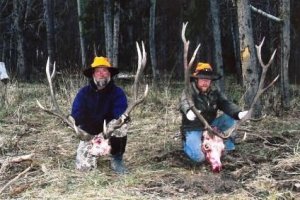 Colorado Elk, Mule Deer Drop Camp Hunts
