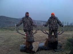 Colorado Elk and Deer DIY Hunt north of Craig on Private &amp; Public GMU 4
