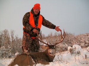 Colorado Elk Hunt GMU 3, 301, 15, 13, 131, 2, 201