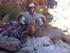 Texas Whitetail Deer, Mule Deer, Elk, Hogs Hunts South of Blanca
