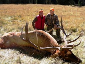 Colorado DIY Elk and Mule Deer Hunts in the San Juan Mountians