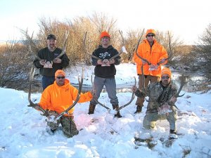Colorado DIY Private Land Elk, Mule Deer Hunt