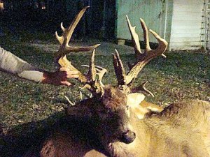 Kansas Whitetail Deer and Turkey Hunts Unit 8,9